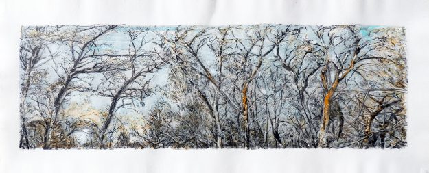 bord du rhone rouille - 160 x 60 cm - sur papier cuve - 2010